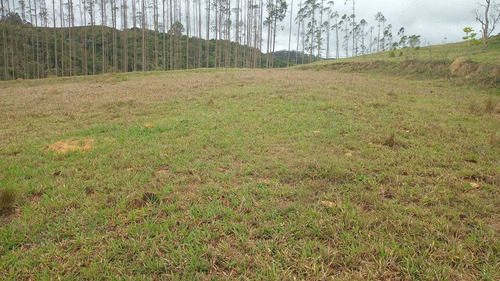 Imagem 4 de 14 de 16- Adquira Seu Lote 100% Documentado,sem Burocrácia