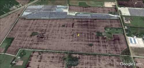 Imagen 3 de 10 de Campo De 81 Ha En Excelente Ubicación Frente A Ruta
