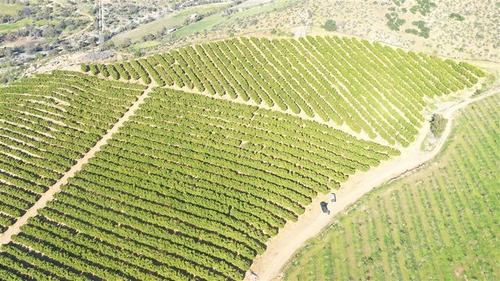 Imagen 15 de 15 de Agrícola En Venta En Monte Patria