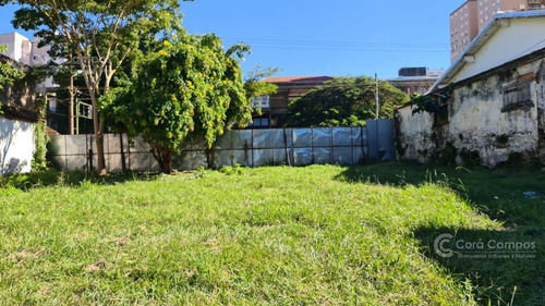 Imagen 4 de 6 de Se Vende Gran Terreno En Costanera De Posadas, Ideal Edificio.