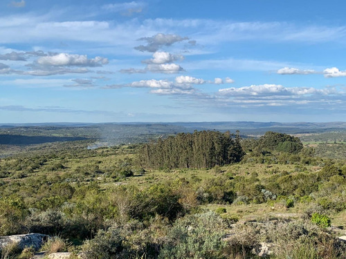 Quinta En Venta - Monoambiente En Aiguá (ref: Bpv-7831)