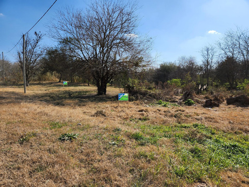 Terreno En Puigari