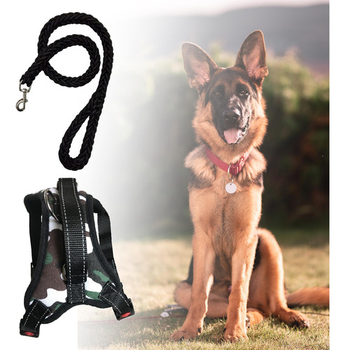 Arnés Para Perros Y Correa Para Perros Collar Ajustable M