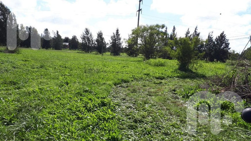 Imagen 3 de 4 de Terreno - La Plata