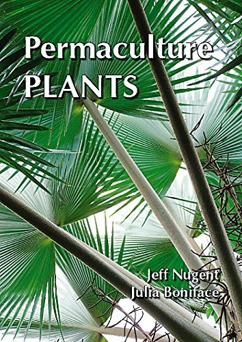 Plantas De Permacultura Una Seleccion