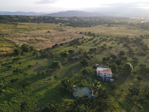 Imagen 13 de 24 de Granja En Venta Yaritagua 12 Hectareas Cod. 23-17577