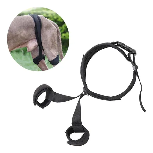 . Soporte De Cadera For Perros For Patas Traseras Cómodo