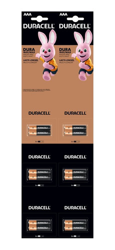 Pilas Aaa Duracell X 12 (2400)