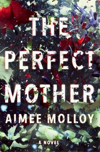 The Perfect Mother, De Aimee Molloy. Editorial Harper En Inglés