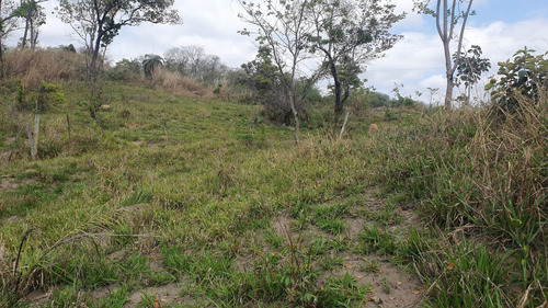 Vendo Lote De 360m2 Barato