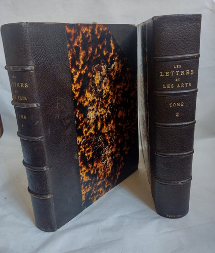 Les Lettres Et Les Arts. Grabados Siglo 19. Libros Antiguos 