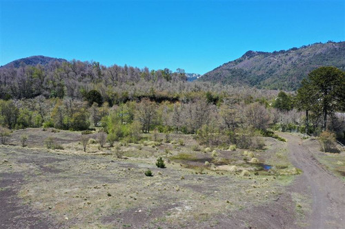 Parcela En Venta En Curacautín