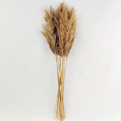 Capim Desidratado Marrom Natural 70x12cm Planta Artificial