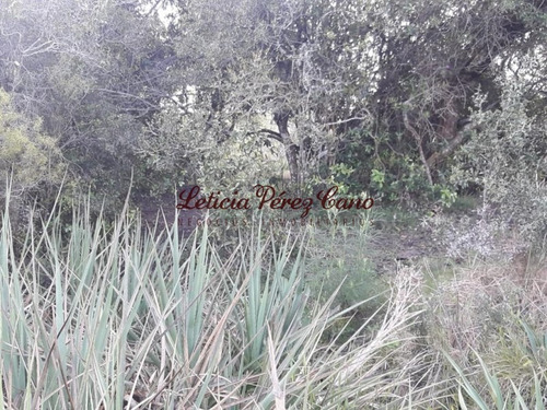 Venta Chacra Jose Ignacio 2 Has - Ref: 19207