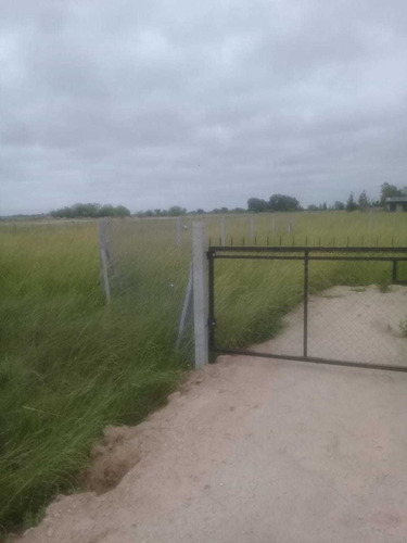 Imagen 1 de 5 de Increíble Lote En Domselaar De 10 X 30