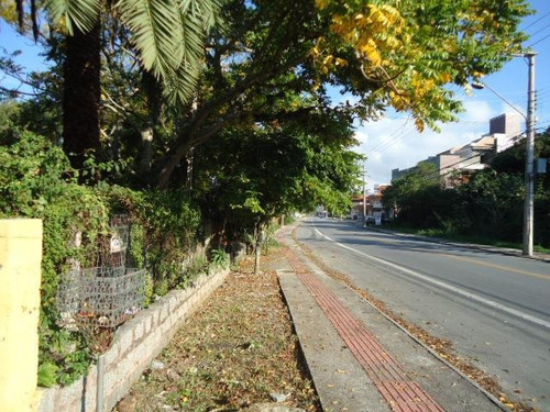 Imagem 7 de 7 de Terreno Comercial À Venda, Cachoeira Do Bom Jesus, Florianópolis. - Te0203