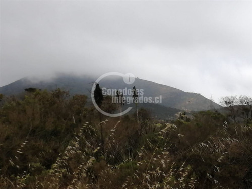 Sitio Venta Rocas Del Mar - Los Molles