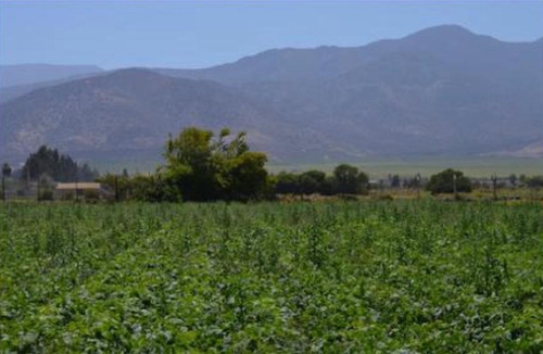 Terrenos En Venta Hacienda Santa Filomena (51)