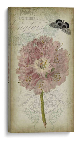 Canvas Lab Cuadro Cartouche Y Floral Ii 60x120
