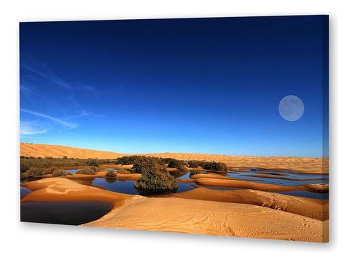 Cuadro 20x30cm Desierto Sahara Atardecer Con Luna Llena