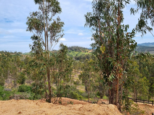 Vendo Parcelas A 20 Kms. Aproximadamente De Peralillo