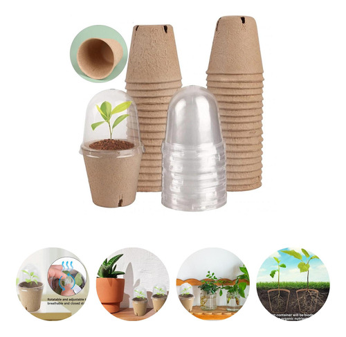 Ester De Plantas Biodegradables Para Plantas De Vivero Para