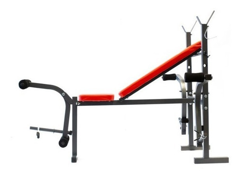 Imagen 4 de 10 de Banco Randers Arg-140 Mg + Mini Bike Plegable Mg