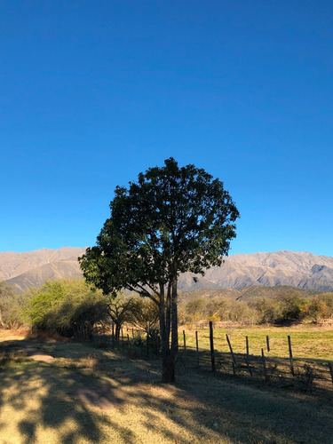 Imagen 4 de 14 de Lote De 6490 M2 Camino A Dique La Viña / Villa De Las Rosas