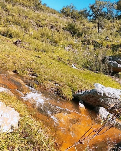 Imagen 3 de 15 de Campo Calmayo