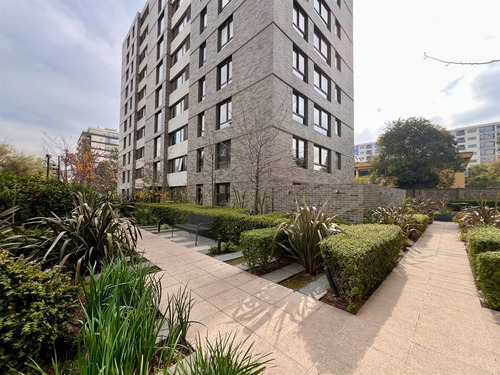 Unico Con Vista Libre Con 170 M2 Utiles - 4d3b3e1b