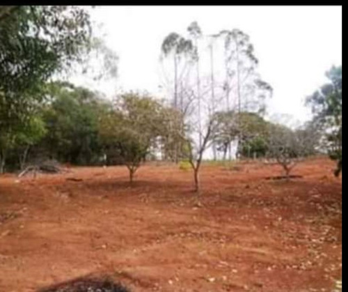 Imagem 3 de 8 de Sítio Com 25mil M2. ( Um Alqueire E Mil Metrôs).