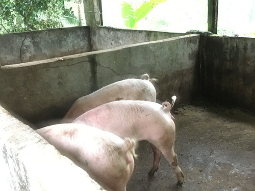 Imagen 16 de 23 de Finca 32 Has/lotes De 3 Has