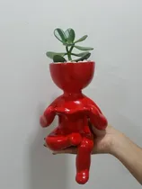 Comprar Maceteros Porrones Para Suculentas Y Cactus