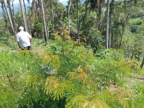 Imagem 22 de 30 de Chácara Com 1 Dormitório À Venda, 21000 M² Por R$ 1.500.000,00 - Parque Rodrigo Barreto - Arujá/sp - Ch0012