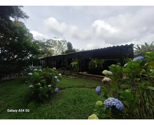 Venta Finca Circasia Quindio. Colombia Cod: 8481169