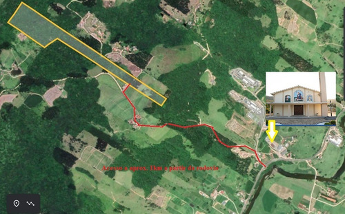 Imagem 8 de 12 de Terreno Rural 10 Hectares Entre Grão Pará E Braço Do Norte
