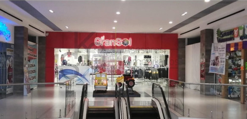 Renta De Local En Toluca