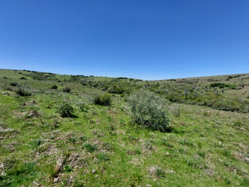 88hás De Campo Serrano Sierras Del Carapé