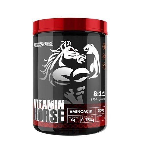 Aminoacid Bcaa 8:1:1 300g Tangerina