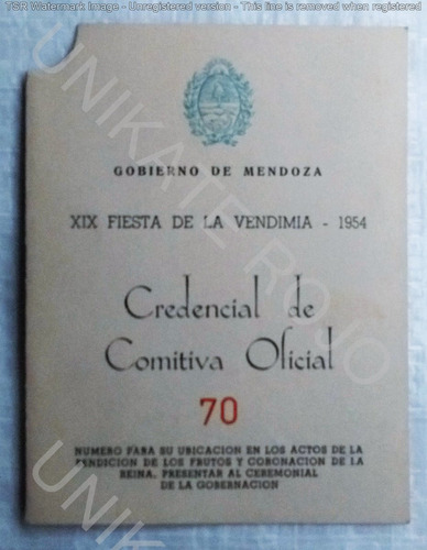 Antigua Entrada Fiesta Vendimia Comitiva Oficial - Año 1954