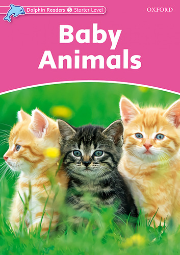 Libro Baby Animals - Vv.aa.