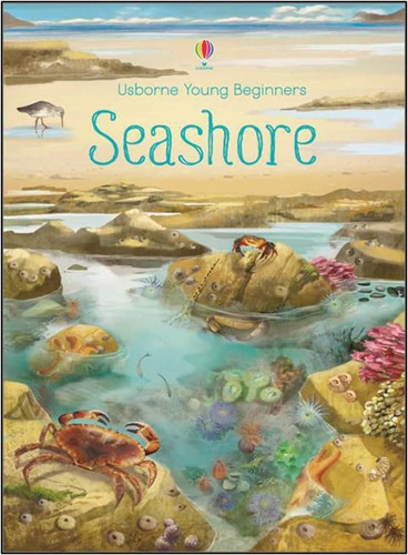 Seashore - Usborne Young Beginners - Bone, Emily, De Bone, Emily. Editorial Usborne Publishing En Inglés, 2017