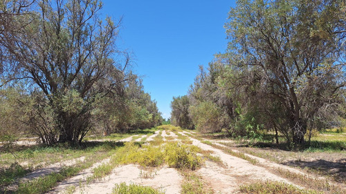 Finca-terreno En Venta En Guaymallén Pozo Surgente De Agua Apta Para Consumo