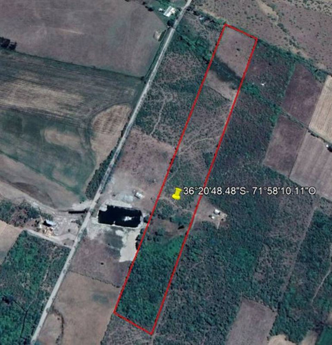 Campo Para Inversión En San Carlos