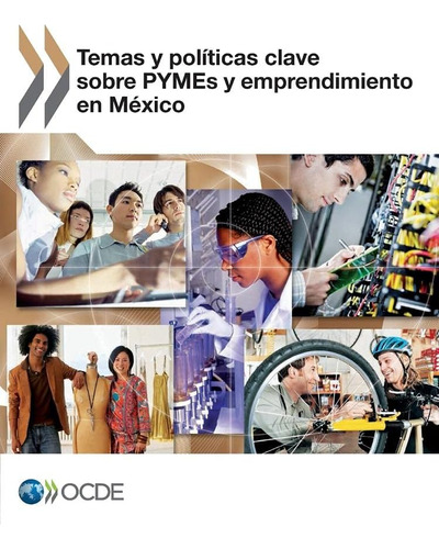 Libro: Temas Y Políticas Clave Sobre Pymes Y Emprendimiento