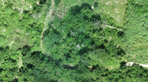 Hermoso Rancho A 4km De Tekit, Dentro Del Círculo De Cenotes