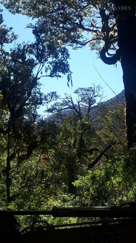 Sitio En Venta En Aisén
