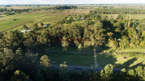 Imagen 21 de 22 de Venta Chacra En San Carlos 2 Has , Abra De Perdomo, Los Ceibos