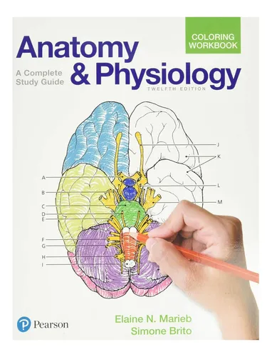 Libro: Libro De Ejercicios Para Colorear De Anatomía Y Fisio