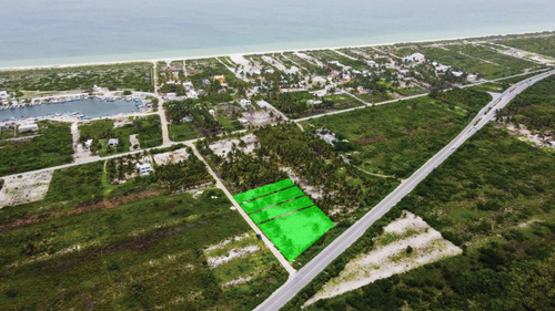 Imagen 6 de 30 de Lote En La Marina Telchac